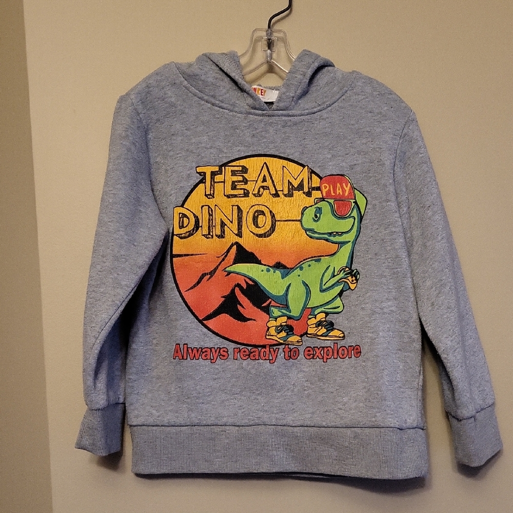 Grey Team Dino pullover hoodie